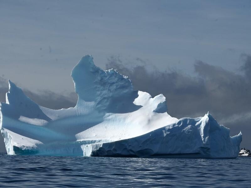 View of an iceberg on Half Moon island, Antarctica on November 09, 2019. Johan ORDONEZ / AFP