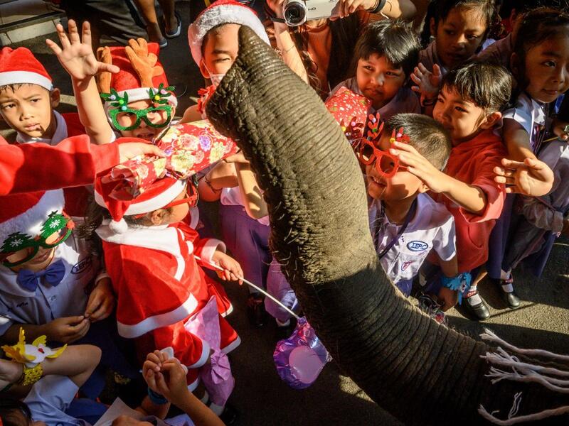 An elephant dressed in a Santa Claus costume presents gifts to schoolchildren during Christmas celebrations in Ayutthaya on December 23, 2019. Wearing red and white hats and a string of bells, Thai elephants passed out Christmas gifts to hundreds of schoolchildren on Monday despite growing criticism over using the animals in performances. The annual festive event is organised by a nearby elephant park, whose mahouts or handlers started in the early morning dressing the animals. Thailand is largely Buddhist 