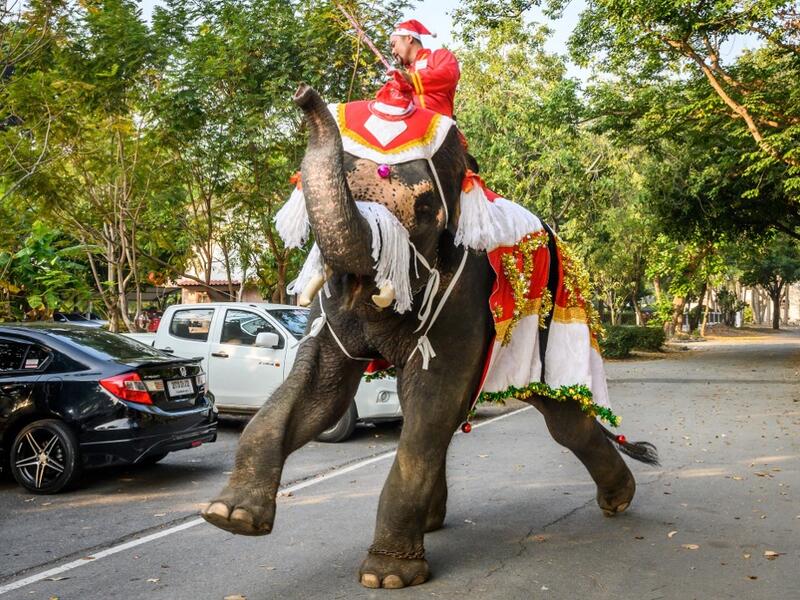 A mahout trains his elephant dressed in a Santa Claus costume before a gift presentation to schoolchildren during Christmas celebrations in Ayutthaya on December 23, 2019. Wearing red and white hats and a string of bells, Thai elephants passed out Christmas gifts to hundreds of schoolchildren on Monday despite growing criticism over using the animals in performances. The annual festive event is organised by a nearby elephant park, whose mahouts or handlers started in the early morning dressing the animals. 