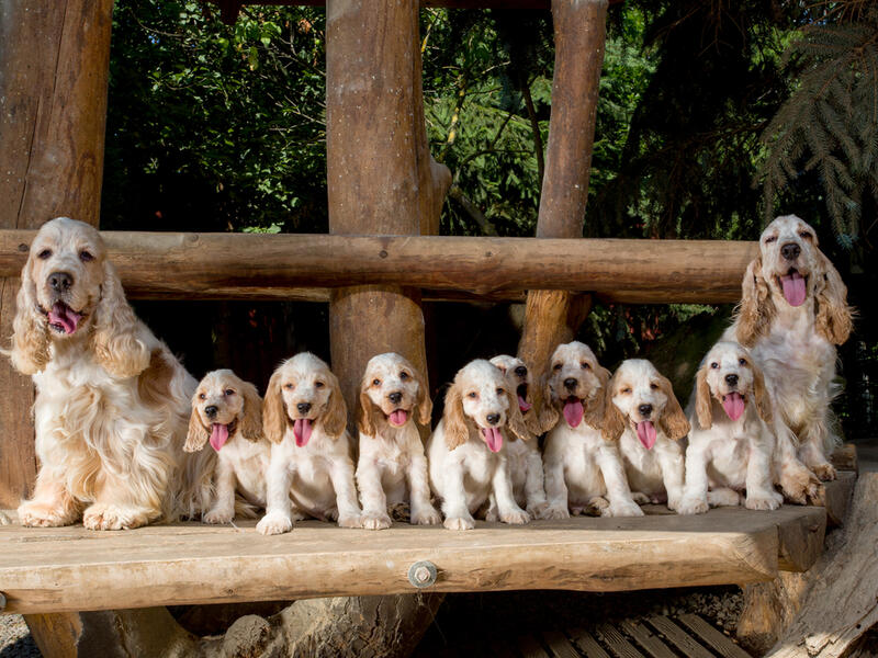 (Shutterstock/ File Photo)
