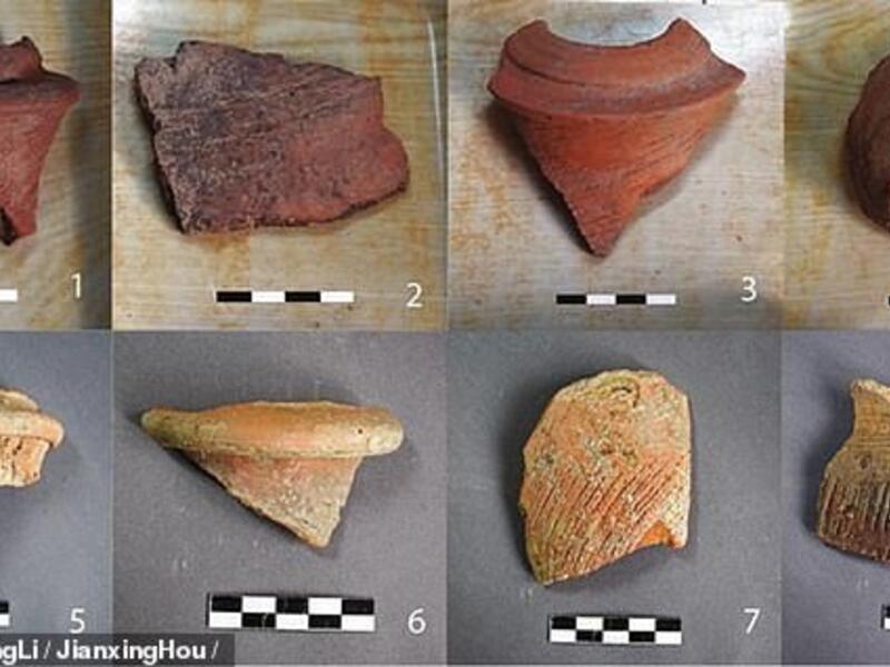 Nine Neolithic amphorae shards - used for transporting beer, wine and grain - were studied by researchers at Stanford University. (Liliu/ Daily mail)