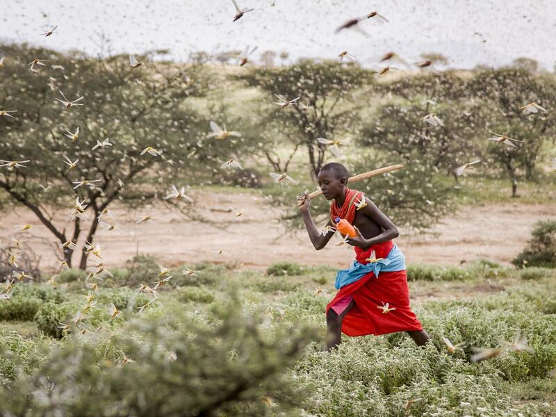Uganda has not had such an outbreak since the 1960s and is already on alert. (AFP/ File Photo) Uganda has not had such an outbreak since the 1960s and is already on alert. (AFP/ File Photo)
