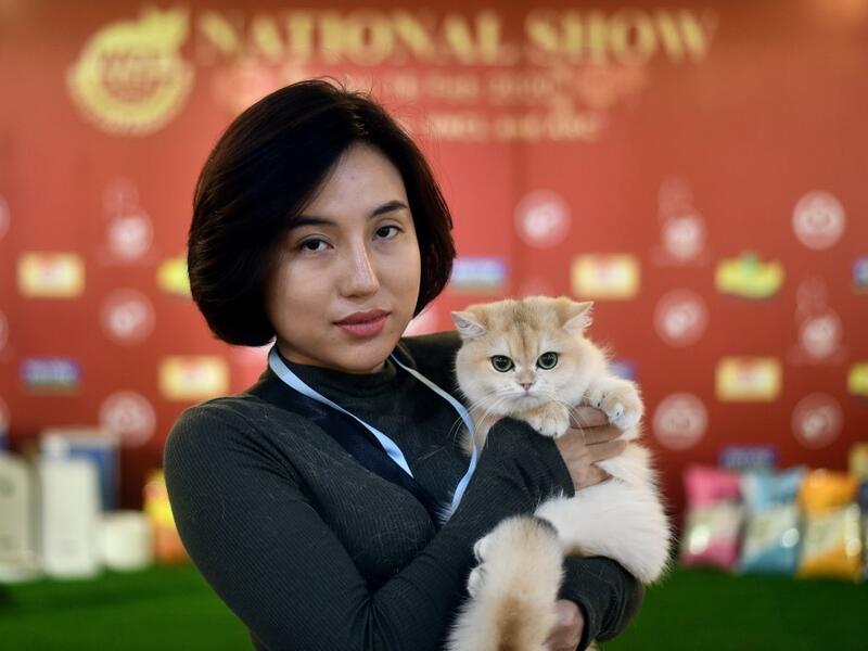 A participant poses with her cat Uslada, a British shorthair breed during Vietnam's first national cat show in Hanoi on February 16, 2020 amid concerns of the COVID-19 coronavirus outbreak. Manan VATSYAYANA / AFP