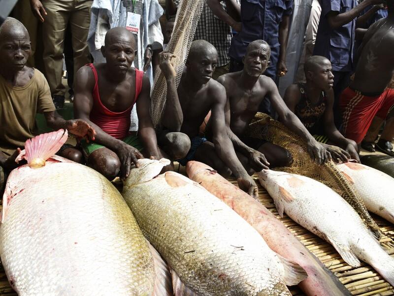 Fishermen display their catch at the revived Argungu fishing and cultural festival at Argungu Town, Kebbi State in northwest Nigeria, on March 14, 2020. Argungu fishing and cultural festival is one of the oldest and most widely attended festivals in the country dating back many generations, featuring series of water competitions and traditional games. The festival returned after 10 years suspension due to insecurity in northwest Nigeria. PIUS UTOMI EKPEI / AFP