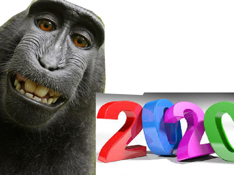2020 والقرد