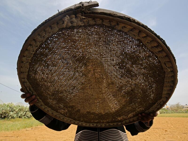 A Palestinian woman sifts lightly roasted wheat, harvested before maturity (freekeh), in Khan Yunis in the southern Gaza Strip on April 22, 2020, before being prepared to be used in a soup during the Muslim holy month of Ramadan which begins later in the week. From cancelled iftar (fast breaking) feasts to suspended mosque prayers, Muslims across the Middle East are bracing for a bleak month of Ramadan fasting as the threat of the COVID-19 pandemic lingers. The holy Muslims fasting month of Ramadan is a per