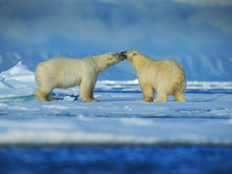 (Shutterstock/ File Photo)