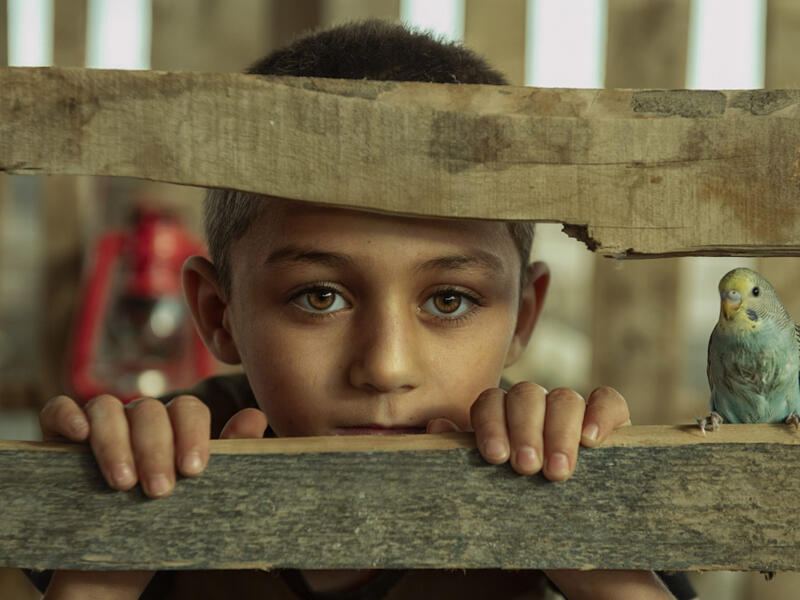 صورة "عصفوري"