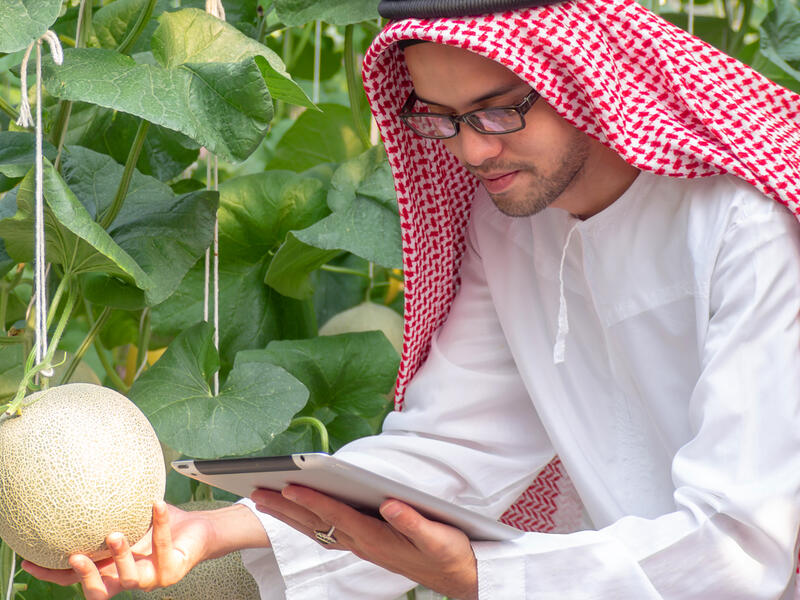 تعرّفوا على أبرز الحلول والاقتراحات لمستقبل أكثر استدامة