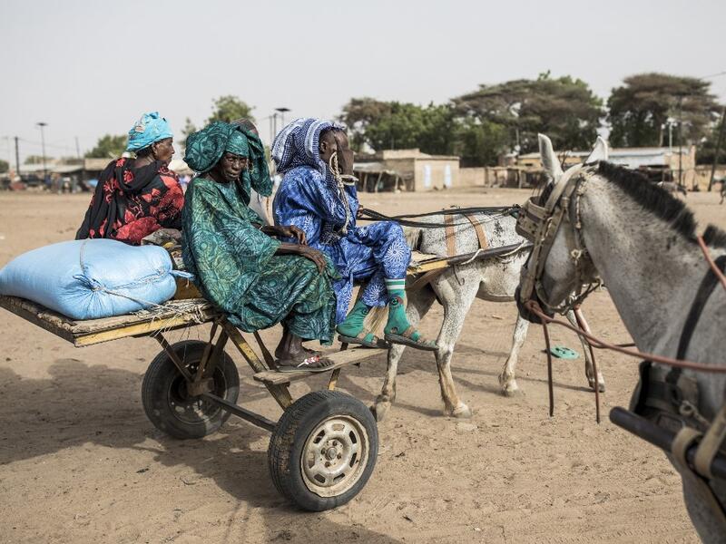 Fulani herders make their way back to their camps after trying to buy and sell goods at a unofficial herders market in Barkedji on May 28, 2020. COVID-19 coronavirus restrictions have closed down markets and regional movement, as a result Fulani herders are struggling to move to areas with more grazing land for there live stock. Closures of markets have meant that the prices for live stock has dropped by up to fifty percent, leaving the pastoralist stuck with out being able to pay for the provisions to move
