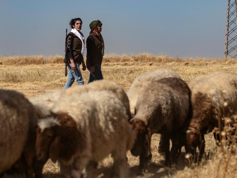 Kurdish female volunteers, from the newly formed Community Protection Forces, walk next to a herd of sheep as they patrol a wheat field, against threats by jihadists to burn the crops, during harvest season on June 13, 2020, in the countryside east of Qamishli in Syria's northeastern Hasakah province. Delil SOULEIMAN / AFP