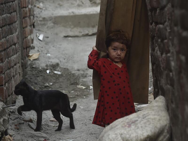 A child of an Afghan refugee stands near a cat at a slum area in Lahore on June 19, 2020, ahead of the World Refugees Day. Arif ALI / AFP