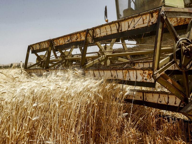 A combine harvests wheat in a field in the countryside of al-Kaswa, south of Syria's capital Damascus, on June 18, 2020. Heavy rain and reduced violence provided a relief to Syrian farmers with a good harvest this year, as a tanking economy leaves millions hungry across his war-torn country. Prior to the outbreak of the conflict in 2011, Syria produced more than 4.1 million tonnes of wheat, enough to feed its entire population. But production plunged to record lows during the war, boosting reliance on impor