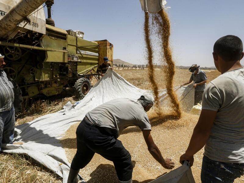 Farmers spread around wheat kernels unloaded from a combine harvester before being packaged into sacks, in a field in the countryside of al-Kaswa, south of Syria's capital Damascus on June 18, 2020. Heavy rain and reduced violence provided a relief to Syrian farmers with a good harvest this year, as a tanking economy leaves millions hungry across his war-torn country. Prior to the outbreak of the conflict in 2011, Syria produced more than 4.1 million tonnes of wheat, enough to feed its entire population. Bu