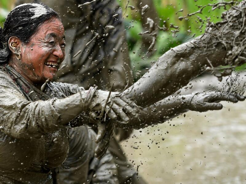 Splashing mud and drinking local rice beer, Nepali farmers this week celebrated National Paddy Day to mark the beginning of the rice-planting season, despite some coronavirus lockdown measures still in place. Traditional farming songs and laughter echoed in the air as farmers waded into waterlogged fields to sow green paddy.  PRAKASH MATHEMA / AFP