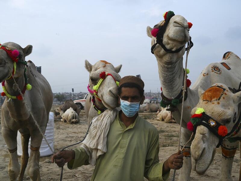 A trader wearing a facemask as a preventive measure against the spread of the COVID-19 coronavirus, as he hold his camels while waiting for customers at a cattle market set up for the upcoming Muslim festival Eid al-Adha also called "Festival of the Sacrifice", in Rawalpindi on July 20, 2020.  Aamir QURESHI / AFP