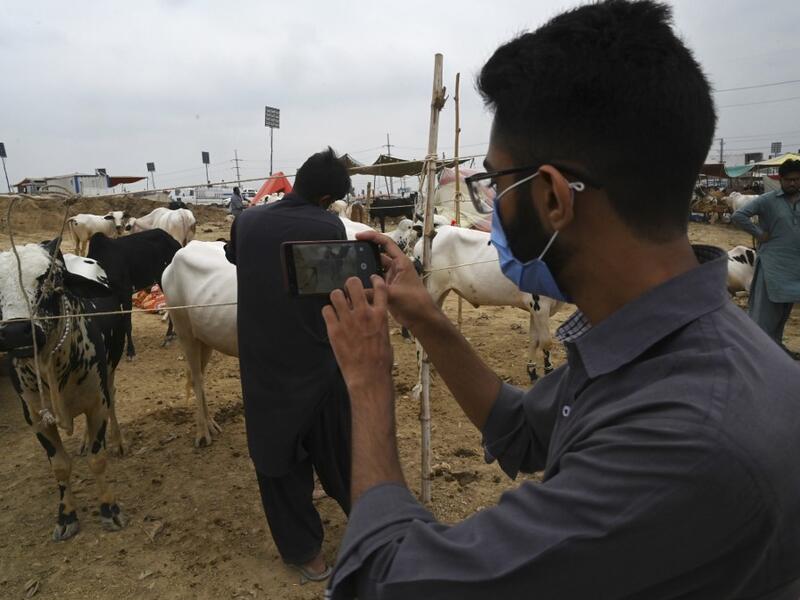 A Muslim customer takes a photo of a cow at a cattle market set up for the upcoming Muslim festival Eid al-Adha also called "Festival of the Sacrifice", in Rawalpindi on July 20, 2020. Aamir QURESHI / AFP