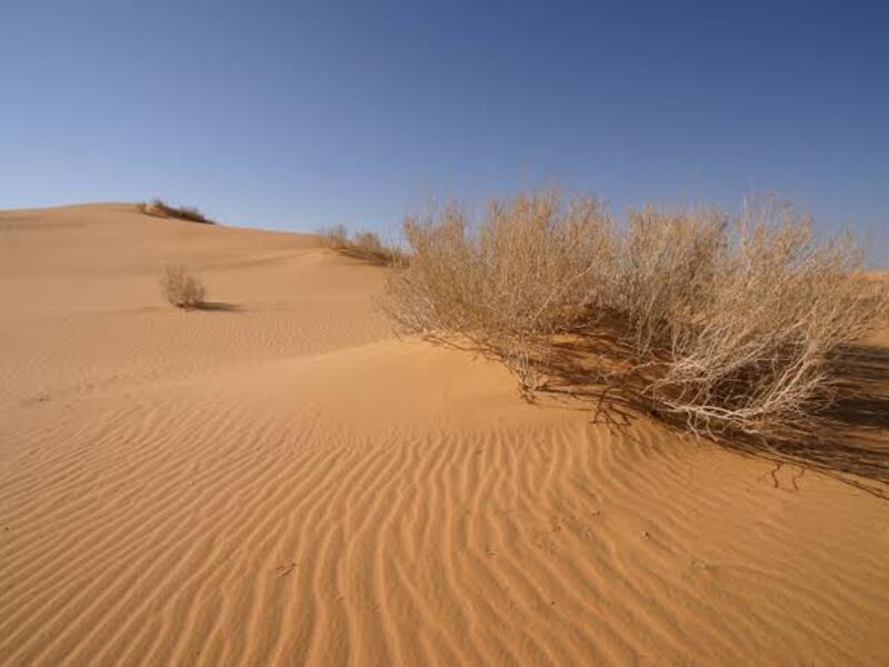 تعبيرية