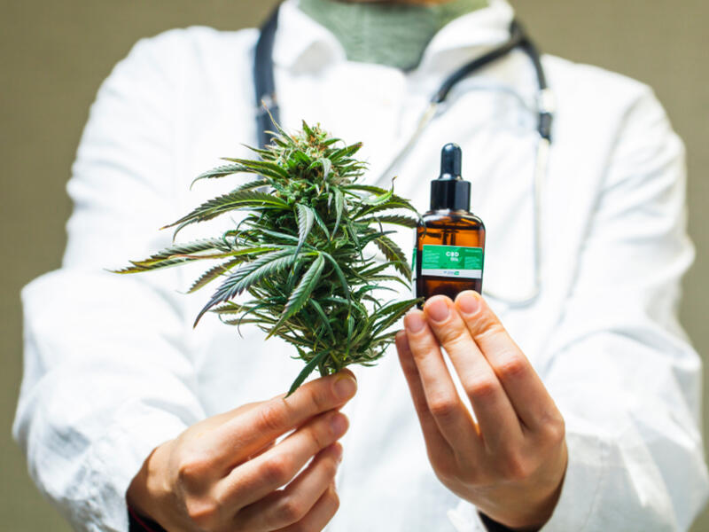 marijuana. (Shutterstock/ File Photo)