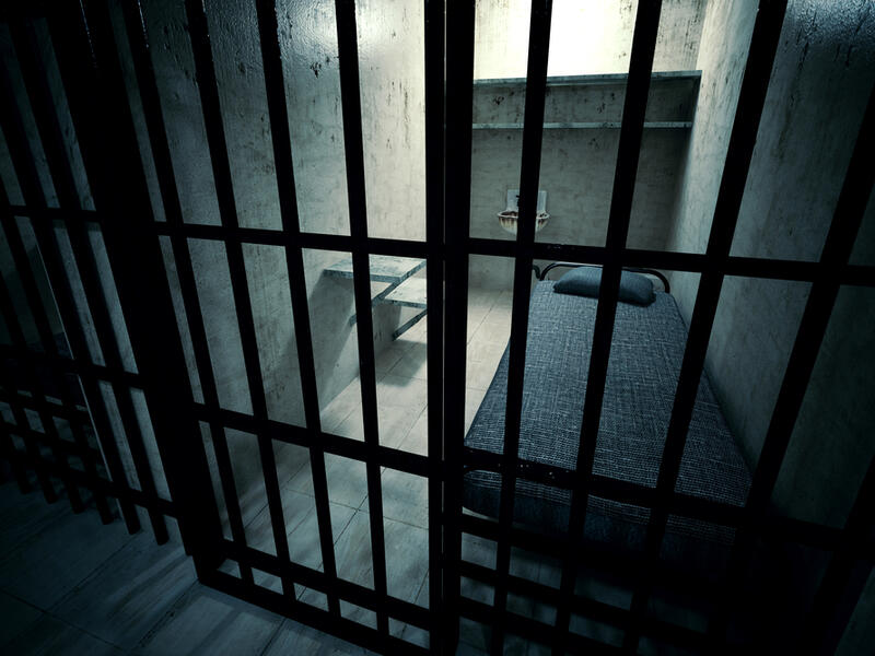 The upgraded cells have more space and access to better food. (Shutterstock/ File Photo) 