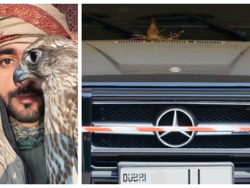 الشيخ حمدان