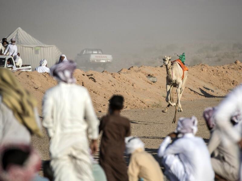 Bedouins watch a camel race in Egypt's South Sinai desert on September 12, 2020, after more than six month of hiatus due to the coronavirus outbreak. Camel racing is a traditional sport in many Arab countries, most notably in the Gulf region, and in Egypt, bedouins of the South Sinai desert have kept up the tradition. But race events have been suspended since March following the COVID-19 outbreak, and orders only came down at the beginning of the month that they could resume this weekend. Khaled DESOUKI / A