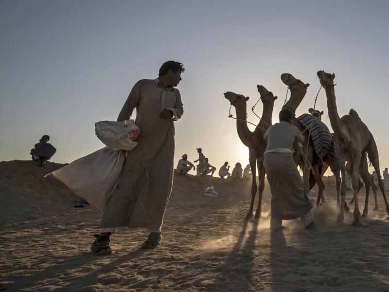 But race events have been suspended since March following the COVID-19 outbreak, and orders only came down at the beginning of the month that they could resume this weekend. Khaled DESOUKI / AFP