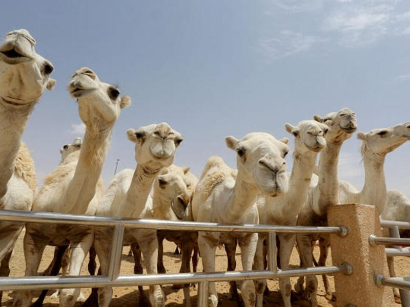 تعبيرية