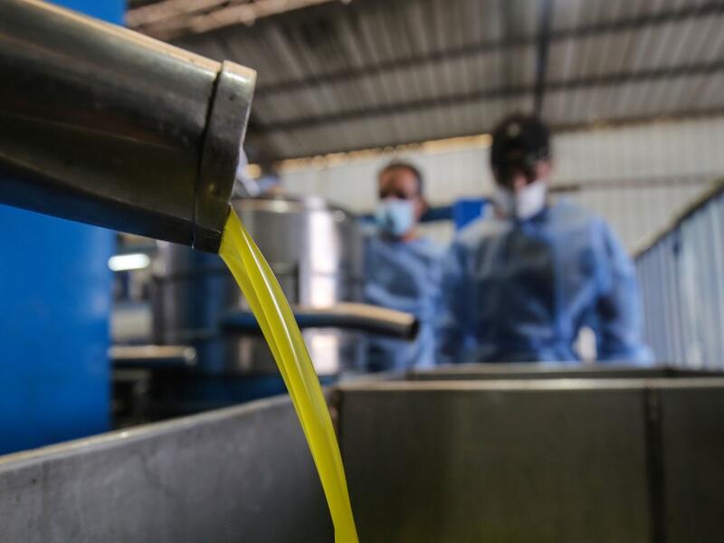 Workers watch as freshly pressed olive oil pours into a container at a factory in Khan Yunis, in the southern Gaza Strip on October 4, 2020. SAID KHATIB / AFP