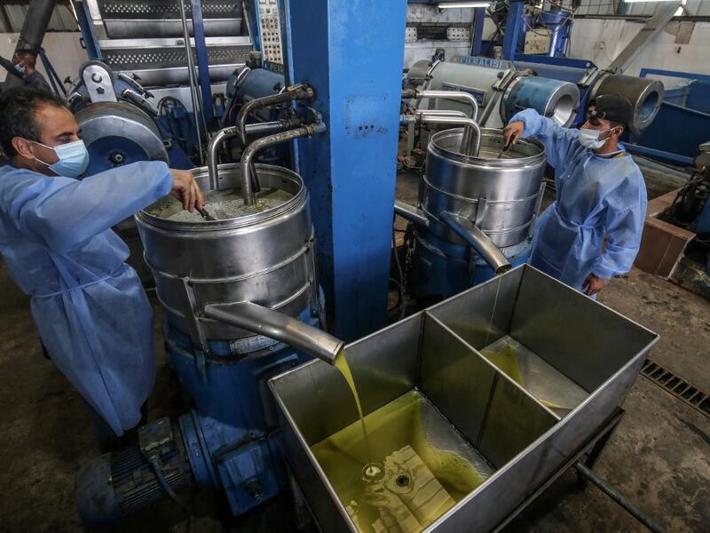 Freshly pressed olive oil pours into a container at a factory in Khan Yunis, in the southern Gaza Strip on October 4, 2020. SAID KHATIB / AFP