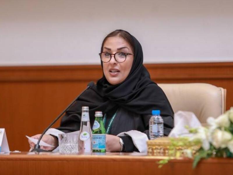 تشغلت منصب مدير عام للمنظمات والتعاون الدولي في هيئة حقوق الإنسان، وتولت سابقًا منصب مساعد الأمين العام لمركز الحوار الوطني.