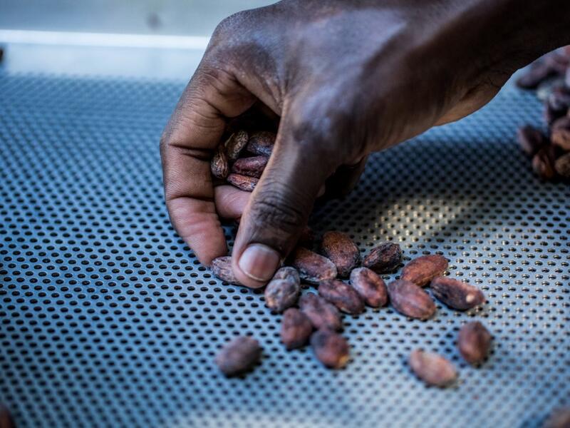 Sorting of cocoa beans according to their size and appearance is done in the workshops of Makaya Chocolat on December 23, 2020 in Petionville, Haiti. Although small in the face of South America's giants, Haiti is slowly developing its cocoa industry to ensure better incomes for thousands of modest farmers and to end the stereotype of gastronomic art known as the domain of wealthy countries. Valerie Baeriswyl / AFP