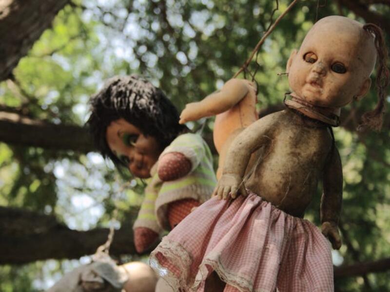 A few miles from the heart of Mexico City lies La Isla de las Muñecas, the Island of Dolls, where thousands of dolls hang from the trees. (Wikipedia)