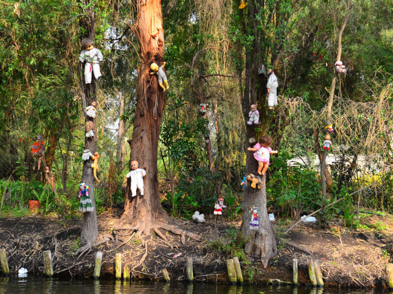 A few miles from the heart of Mexico City lies La Isla de las Muñecas, the Island of Dolls, where thousands of dolls hang from the trees. (Shutterstock)