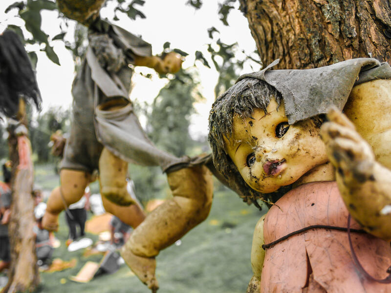 Creepy old dolls in the abandoned Island of the Dolls, Xochimilco, southern Mexico City. (Shutterstock)