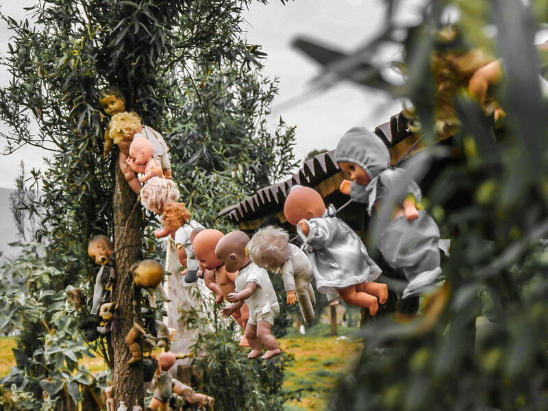 Creepy old dolls in the abandoned Island of the Dolls, Xochimilco, southern Mexico City. (Shutterstock)