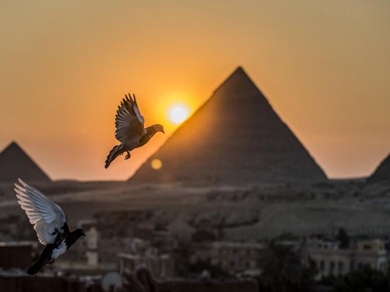Pigeons above the skies of the Egyptian capital twin city of Giza 