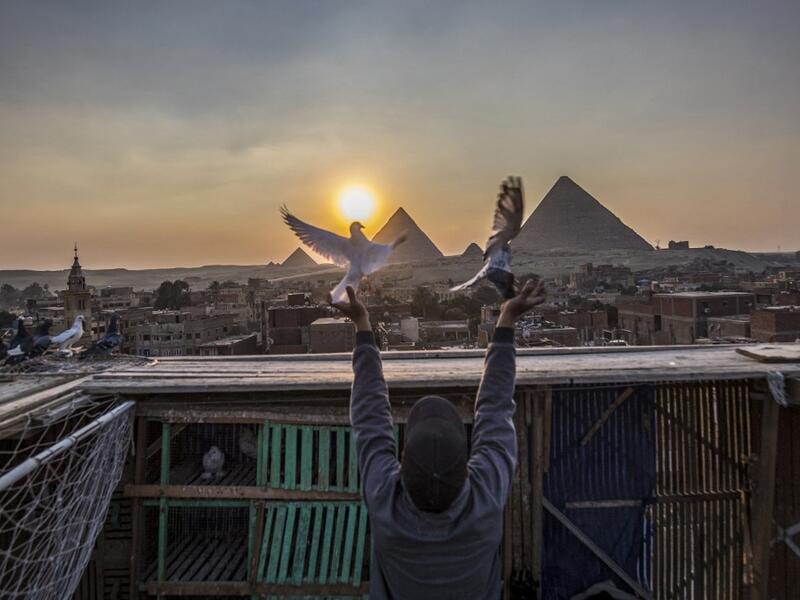 Omar Gamal, a 28-year-old pigeon keeper, releases his pigeon 