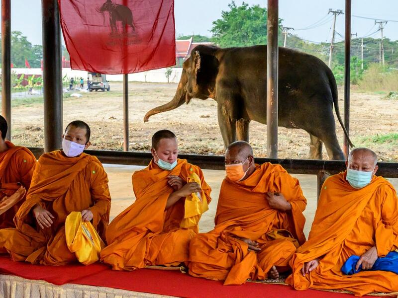 Buddhist monks chant during a ceremony 