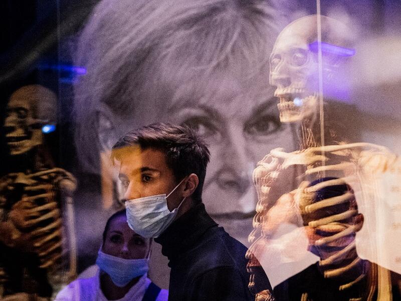 People visit the "Body Worlds", the anatomical art exhibition of plastinated human bodies