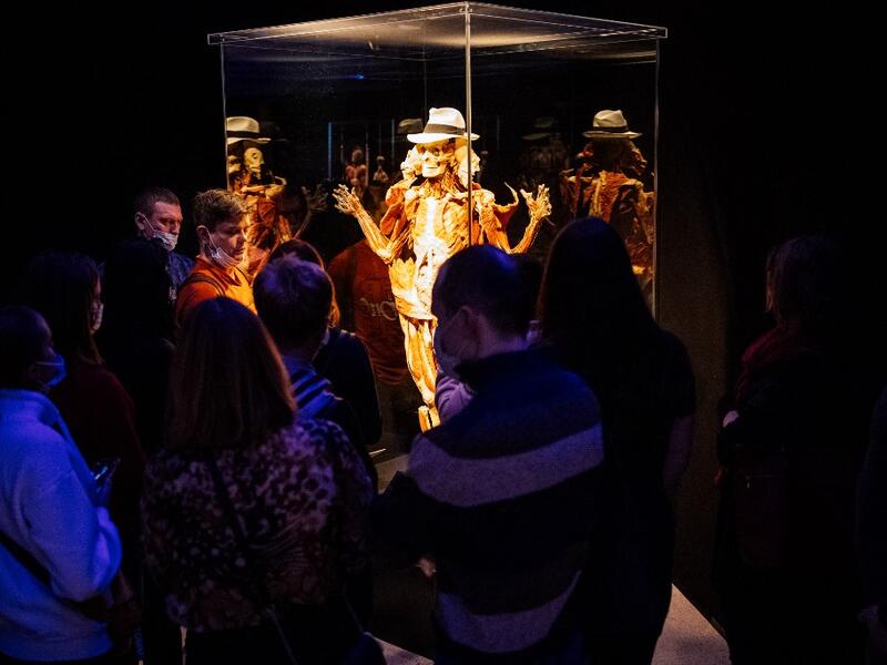 People visit the "Body Worlds", the anatomical art exhibition of plastinated human bodies