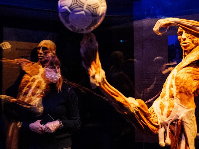 People visit the "Body Worlds", the anatomical art exhibition of plastinated human bodies