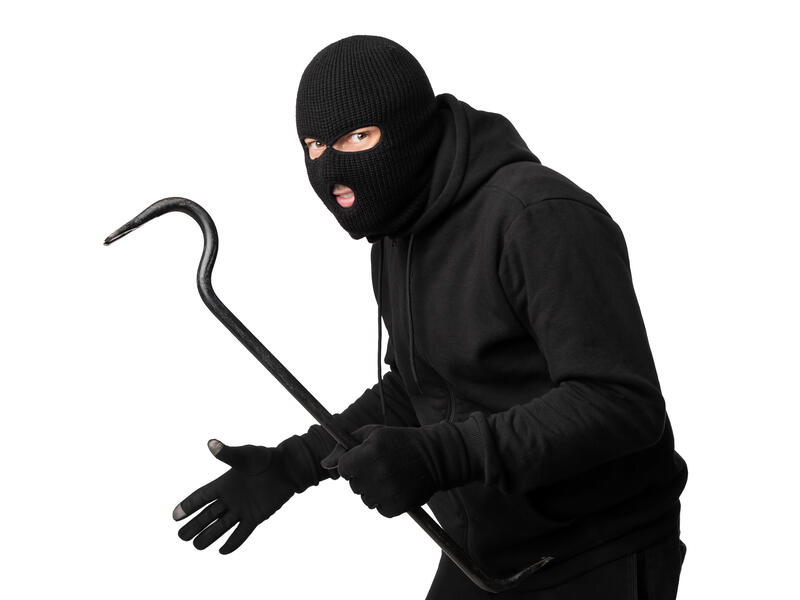 The cat killer 