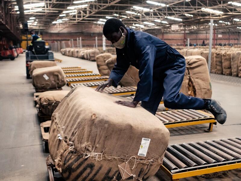 Tobacco season starts in Harare