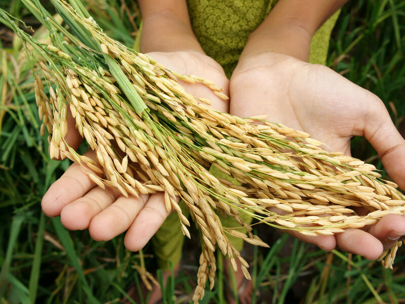 food security