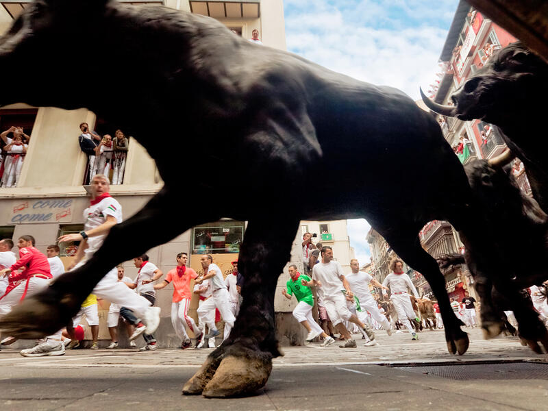 Bulls and people but not this year! 