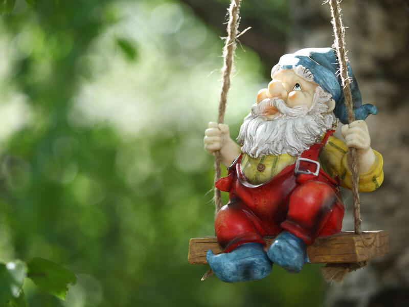 garden dwarf