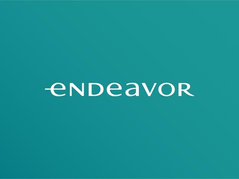 Endeavor Egypt Welcomes Brimore To Its Network