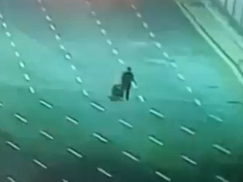 فتى الجسر