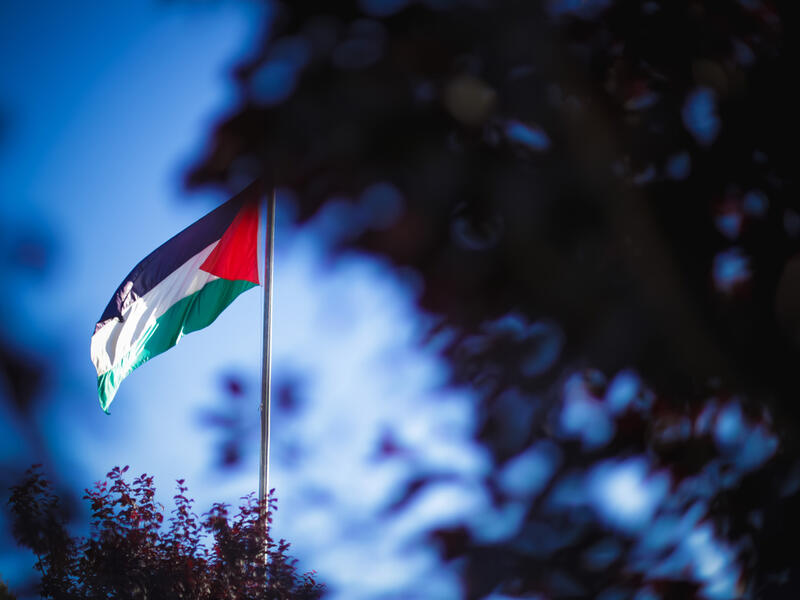 Palestinian flag 